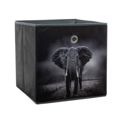 Úložný box Alfa, motiv slon v divočině