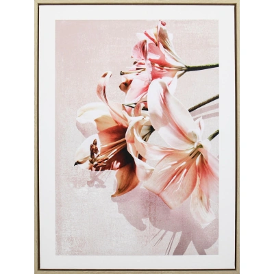 Monee TIŠTĚNÉ OBRAZY NA PLÁTNĚ, květiny, 45/60 cm